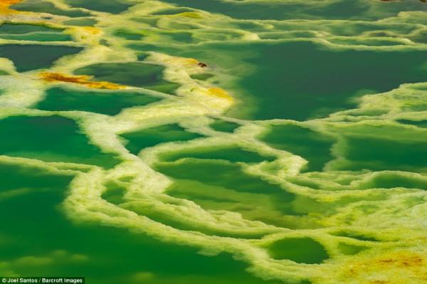 Как выглядит самое жаркое рабочее место в мире (ФОТО)