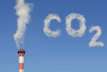 Замена нефти биотопливом не уменьшит выбросы CO2, - ученые