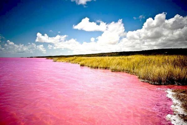 Одно из самых сказочных мест на Земле: диковинное розовое озеро в Сенегале (ФОТО)