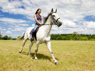 Катание на лошадях уменьшает стресс у подростков