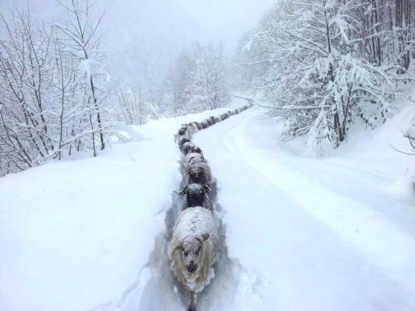 Красота окружающего нас мира без фотошопа (ФОТО)