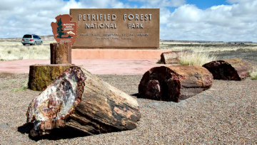 Место, где история остановилась: окаменевший лес в американской Аризоне (ФОТО)