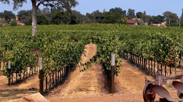 Десять мест в США,  о которых незаслуженно забывают туристы (ФОТО)