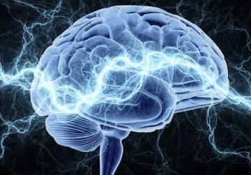 Ученые обнаружили связь между мозгом и иммунной системой