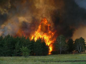 В Украине предупредили о чрезвычайной пожарной опасности