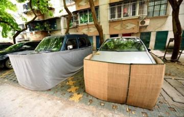 Необычное решение проблемы: китайцы придумали, как защитить автомобиль от грызунов (ФОТО)