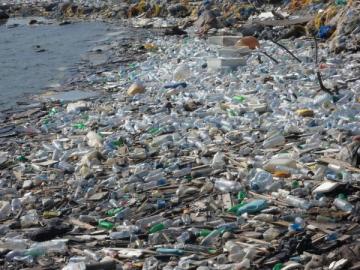 Госдеп США: К 2050 году пластика в океане будет больше, чем рыбы