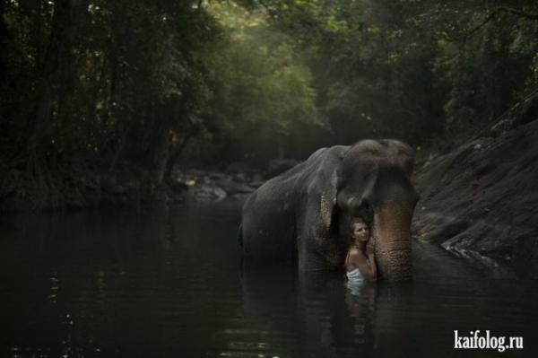 Мелодия природы: фотосессия в естественной среде (ФОТО)