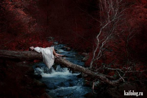 Мелодия природы: фотосессия в естественной среде (ФОТО)