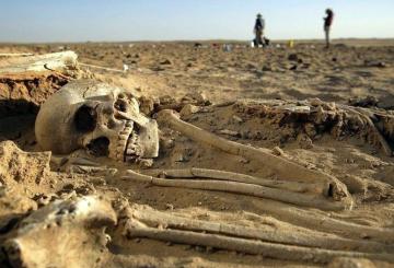 Ученые нашли в Австралии скелет возрастом более 800 лет