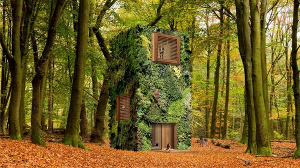 Инновационное эко-жилье: дома-деревья в Нидерландах (ФОТО)