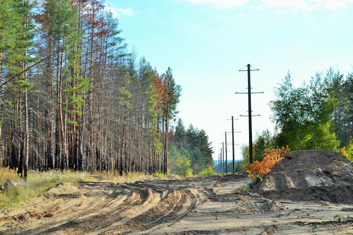 Луганские энергетики строят новую линию электропередачи (ФОТО)
