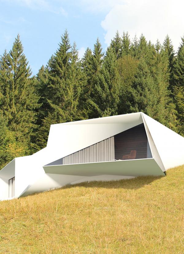 В стиле хай-тек:  супер-современный “космический” дом в Карпатах (ФОТО)