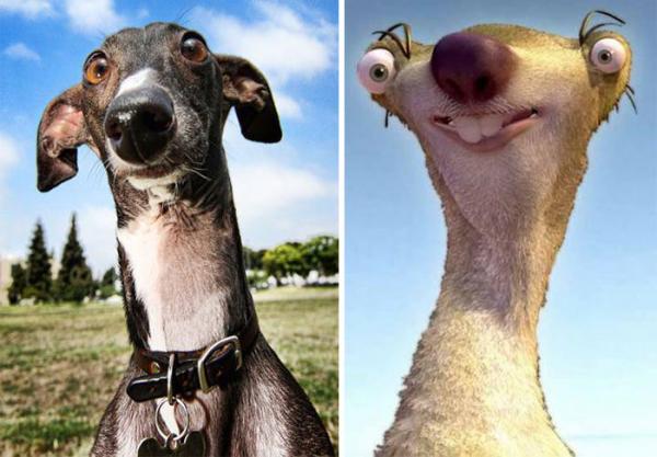 10 собак, которые в точности копируют людей и вещи (ФОТО)