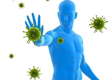 Ученые выяснили, какие факторы влияют на человеческий иммунитет