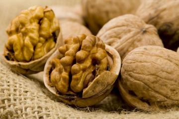 Грецкие орехи защитят от сердечного приступа