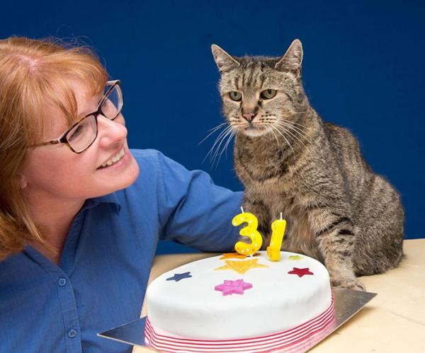 Самому старому в мире коту исполнился 31 год (ФОТО)