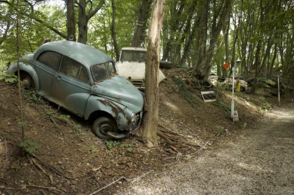 Необычная коллекция: “кладбище” автомобилей, чья стоимость превышает миллион долларов (ФОТО)