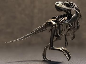 В Бразилии обнаружен самый крупный динозавр в шкафу