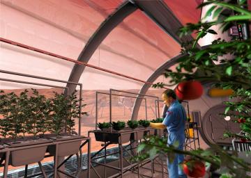 Ученые хотят выращивать растения на Марсе