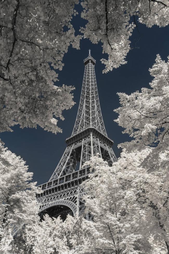 Необычные снимки Парижа, сделанные в инфракрасном диапазоне (ФОТО)