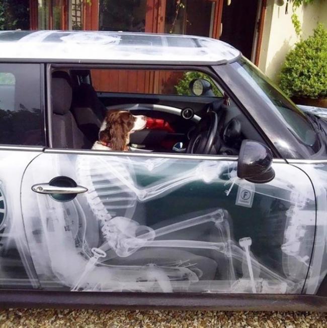Самые творческие водители, которые дополняют свои автомобили забавным креативом (ФОТО)