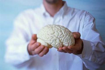 Учёные обнаружили механизм в головном мозге, регулирующий ожирение