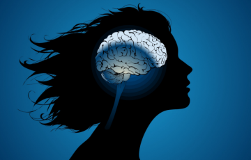 Ученые: Женский мозг меняется каждый месяц