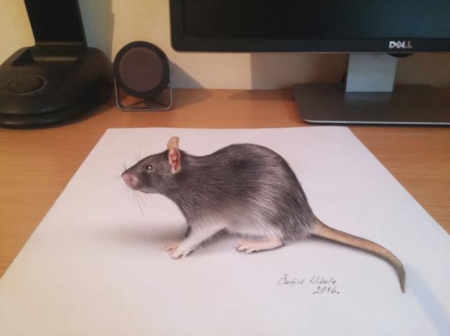 Сверхреалистичные 3D-рисунки, к которым так и хочется притронуться (ФОТО)