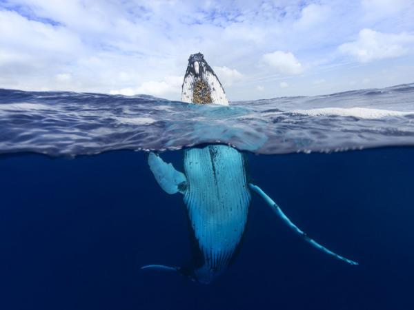 Лучшие фотографии, сделанные путешественниками в 2015, по версии National Geographic (ФОТО)