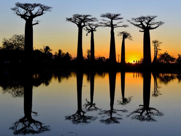 Лучшие фотографии, сделанные путешественниками в 2015, по версии National Geographic (ФОТО)