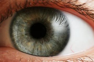 Ученые из США смогут восстанавливать зрение слепым людям