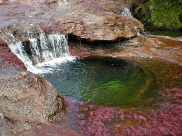 Река, убежавшая из рая: сказочный водный поток в Колумбии (ФОТО)