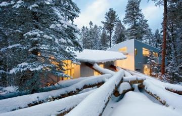 Прогрессивная архитектура: дом на упавших деревьях в американском штате Колорадо (ФОТО)