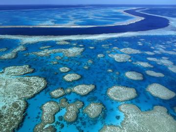 Невероятное творение природы: Большой Барьерный Риф в Австралии (ФОТО)