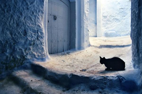 От этих фотографий из самых разных уголков планеты захватывает дух (ФОТО)