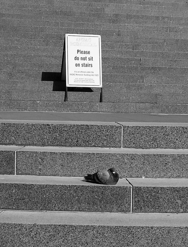 Талантливые фотографы, которые сумели поймать самый удачный момент (ФОТО)  Талантливые фотографы, которые сумели поймать самый удачный момент (ФОТО)