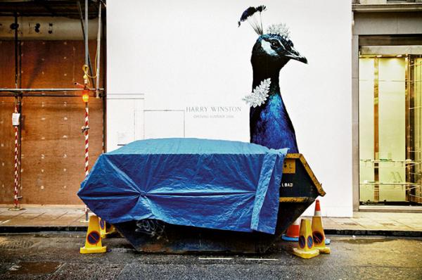 Талантливые фотографы, которые сумели поймать самый удачный момент (ФОТО)  Талантливые фотографы, которые сумели поймать самый удачный момент (ФОТО)