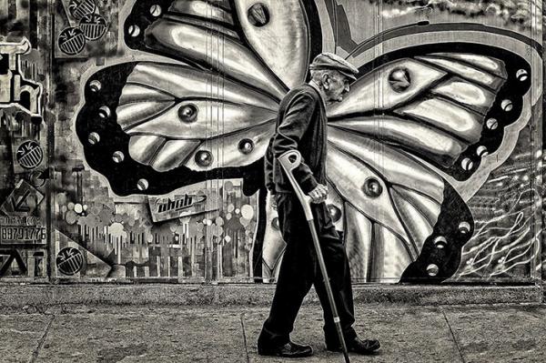 Талантливые фотографы, которые сумели поймать самый удачный момент (ФОТО)  Талантливые фотографы, которые сумели поймать самый удачный момент (ФОТО)