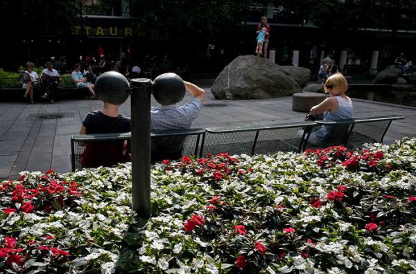 Талантливые фотографы, которые сумели поймать самый удачный момент (ФОТО)  Талантливые фотографы, которые сумели поймать самый удачный момент (ФОТО)