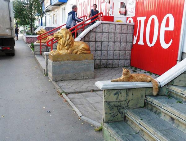 Талантливые фотографы, которые сумели поймать самый удачный момент (ФОТО)  Талантливые фотографы, которые сумели поймать самый удачный момент (ФОТО)