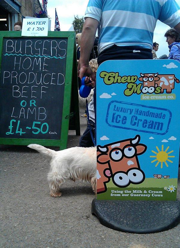 Талантливые фотографы, которые сумели поймать самый удачный момент (ФОТО)  Талантливые фотографы, которые сумели поймать самый удачный момент (ФОТО)