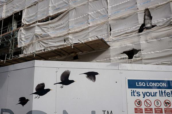 Талантливые фотографы, которые сумели поймать самый удачный момент (ФОТО)  Талантливые фотографы, которые сумели поймать самый удачный момент (ФОТО)