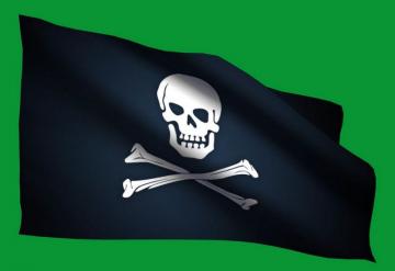 В Исландии к власти может прийти Партия пиратов