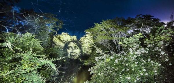 Удивительные «световые граффити» в тропическом лесу (ФОТО)