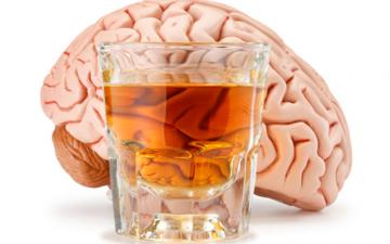 Алкоголь пагубно влияет на работу мозга