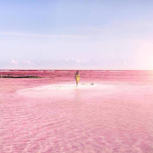 Розовый рай: сказочная лагуна мексиканского побережья (ФОТО)