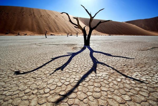  Сюрреалистические пейзажи Мертвой долины (Фото)