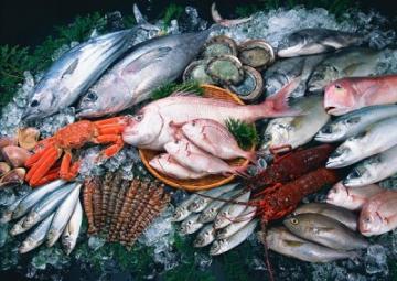 Открытие: Употребление рыбы может уничтожить иммунитет человека