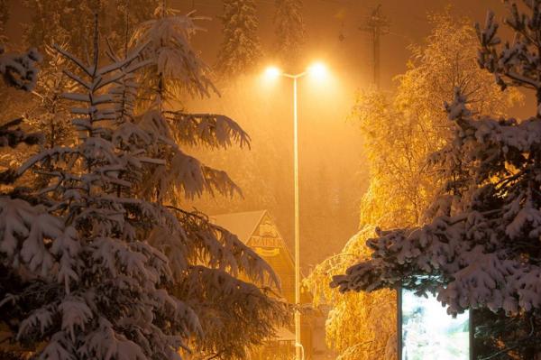 Национальное достояние, или Буковель под снегом (ФОТО)